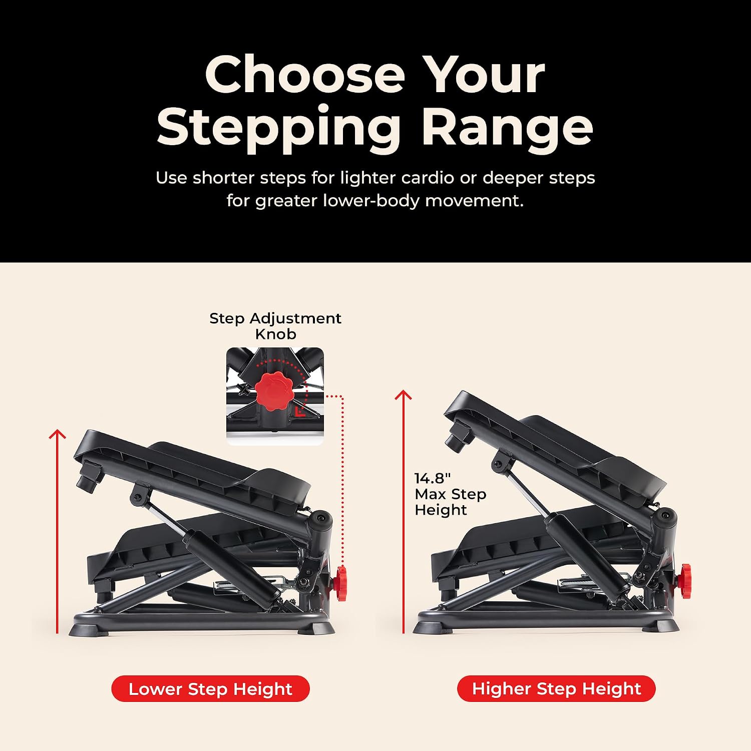 Health & Fitness Twist Stepper