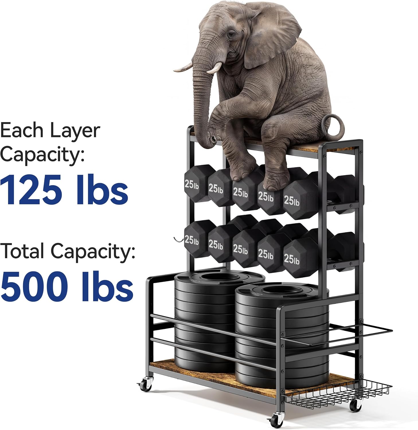 500LBS Rolling Dumbbell Rack