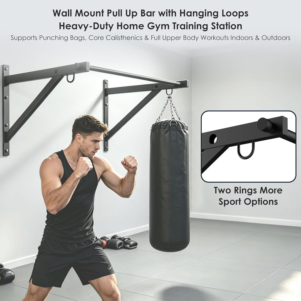 Wall Mounted Pull Up Bar