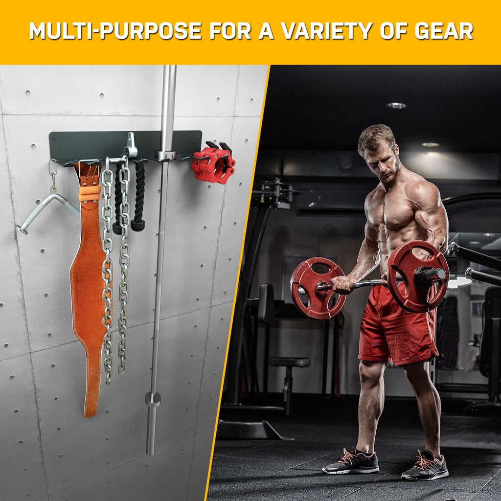 Double Circle Wall Mount Gym Storage Rack